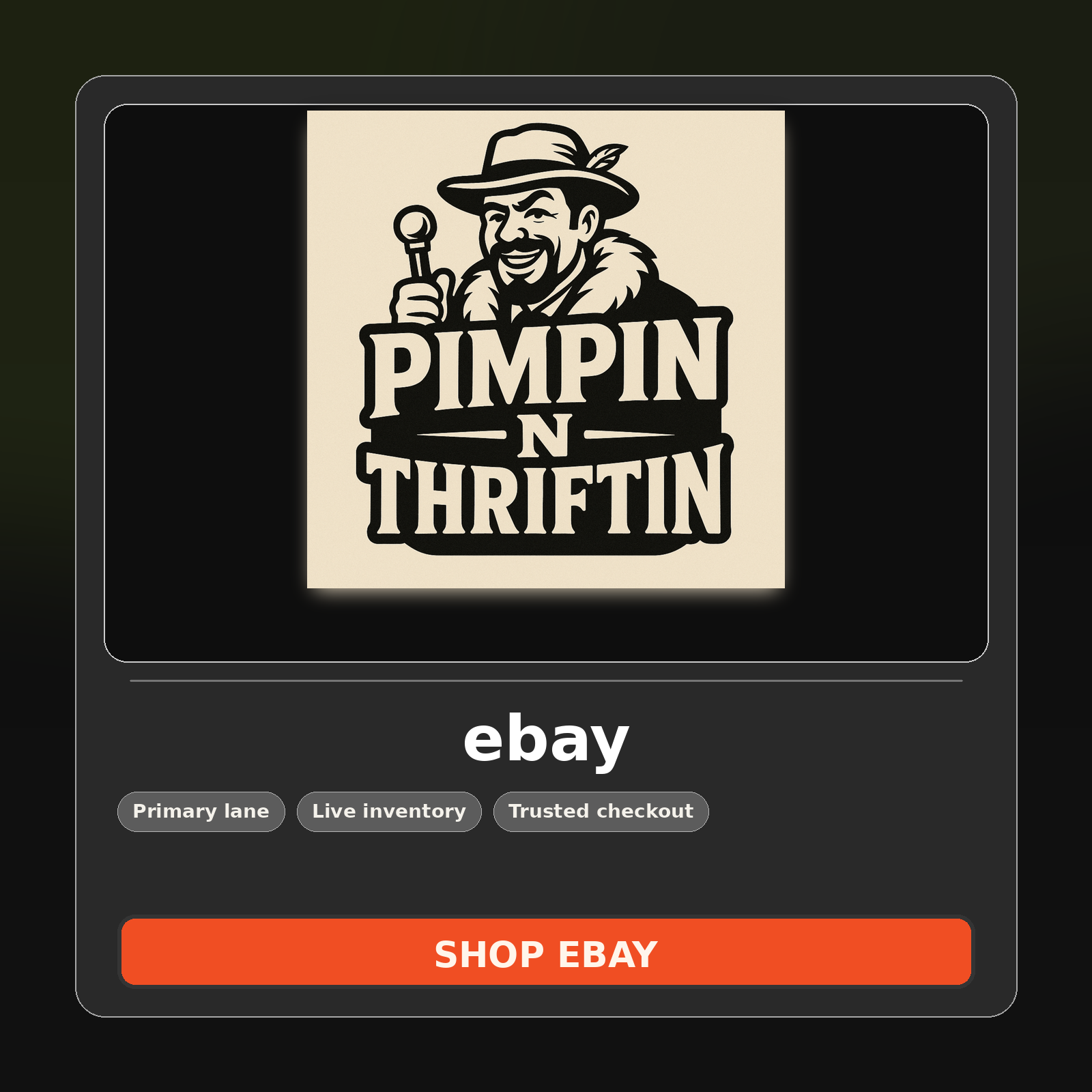 Shop Pimpin N Thriftin on eBay